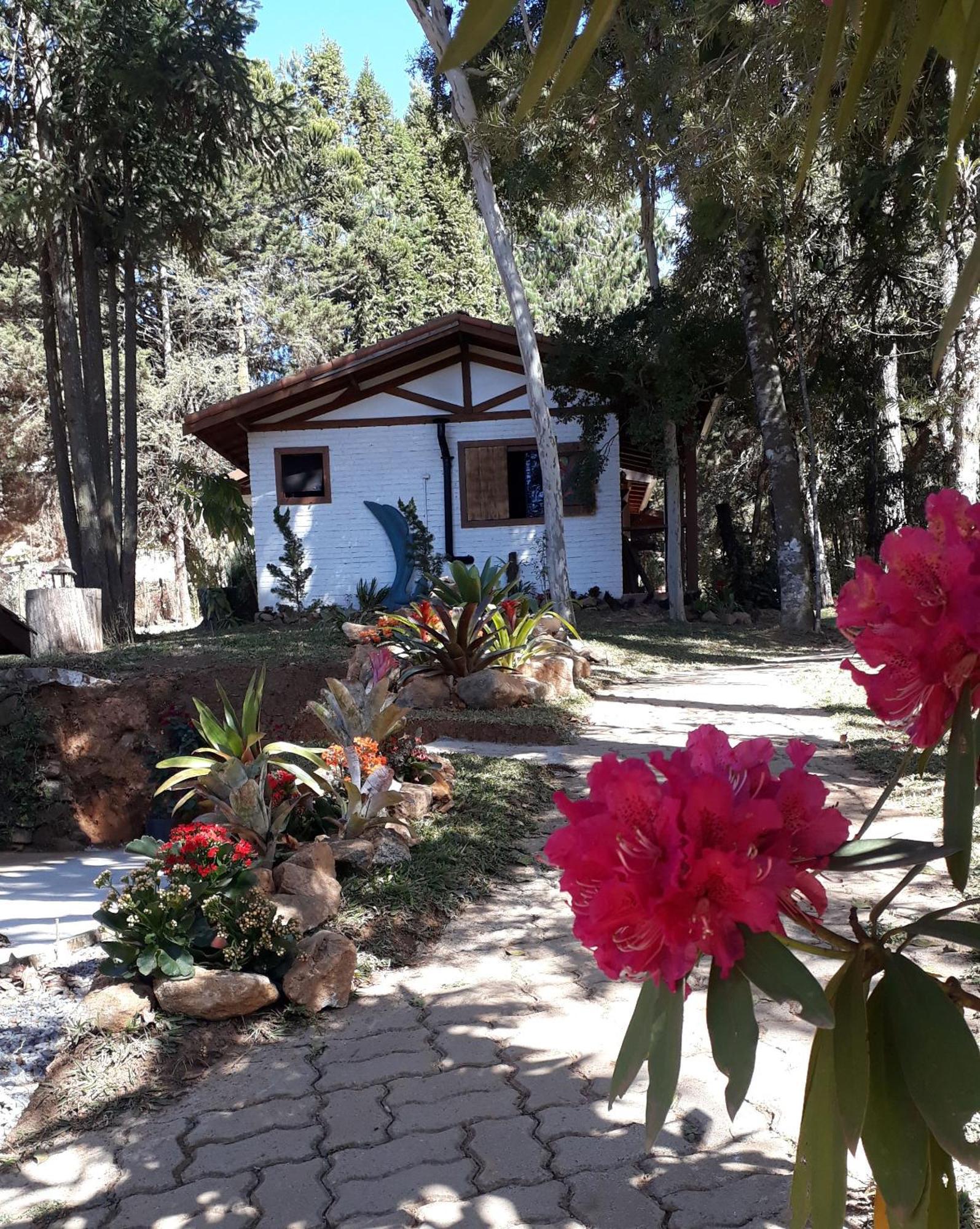 Chales Anecuem Monte Verde  Eksteriør bilde